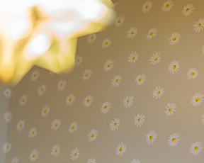 アクセントクロス